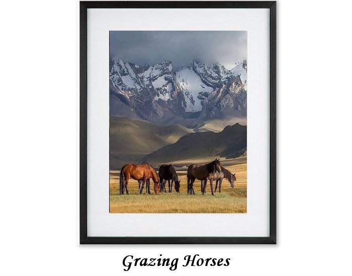 Grazing Horses Framed Print
